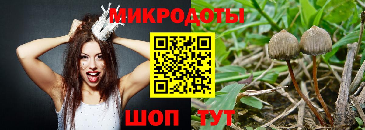 Псилоцибиновые грибы мицелий Тамбов