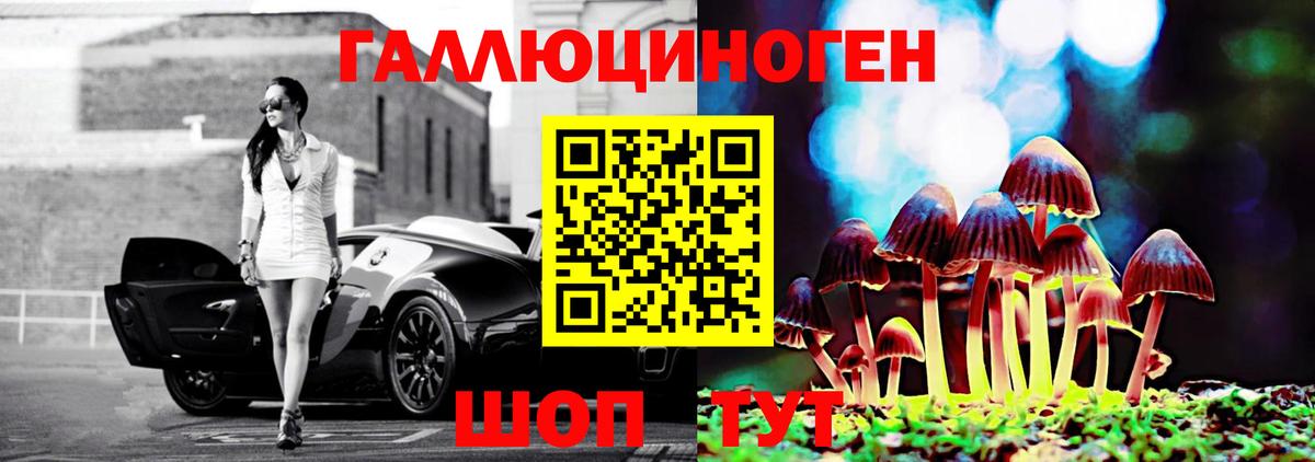 Галлюциногенные грибы Magic Shrooms  Псилоцибиновые грибы Psilocybine cubensis  Тамбов  Вход с VPN 