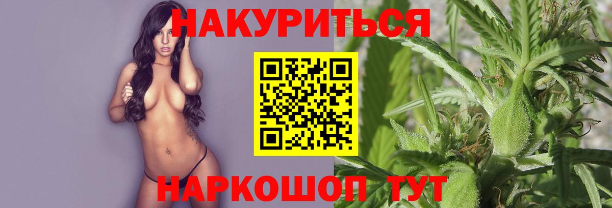 Бошки Шишки планчик  Вход с VPN  Канабис OG Kush  Тамбов  Конопля OG Kush 